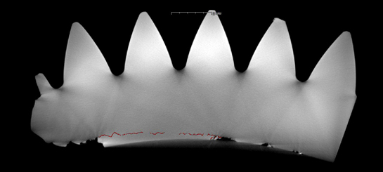 An example from the CT scan showing a subsurface crack propagating from the right hand spalling. The red color is a frame-by-frame mapping performed by hand to highlight the crack. University of Southampton Photo