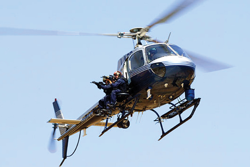 Welcome to the Jungle - Vertical Mag