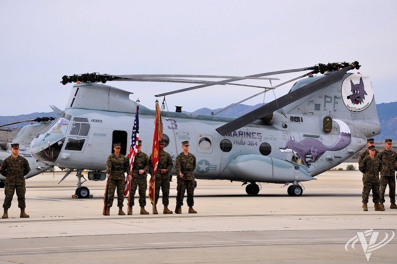HMM-364 recently celebrated its 50th anniversary with a specially painted CH-46E helicopter featuring the squadrons mascot, Swifty the Purple Fox.