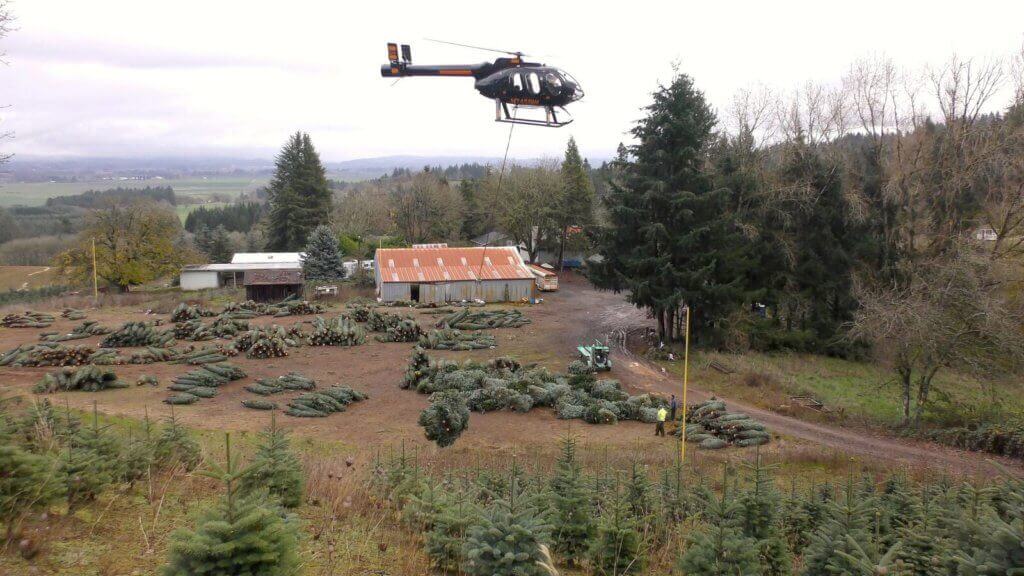 Helicopters Complete Oregon Christmas Tree Harvest Vertical Magazine Tree Growers Have Learned To Reciate The Efficiency And Ability Of Helicopters Keep Processing Costs