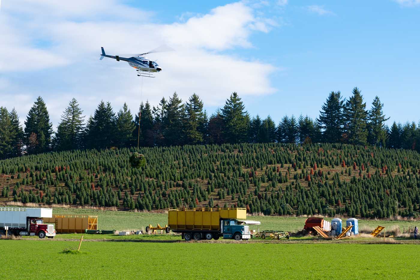 Farmers deterred from tree planting over planning battles