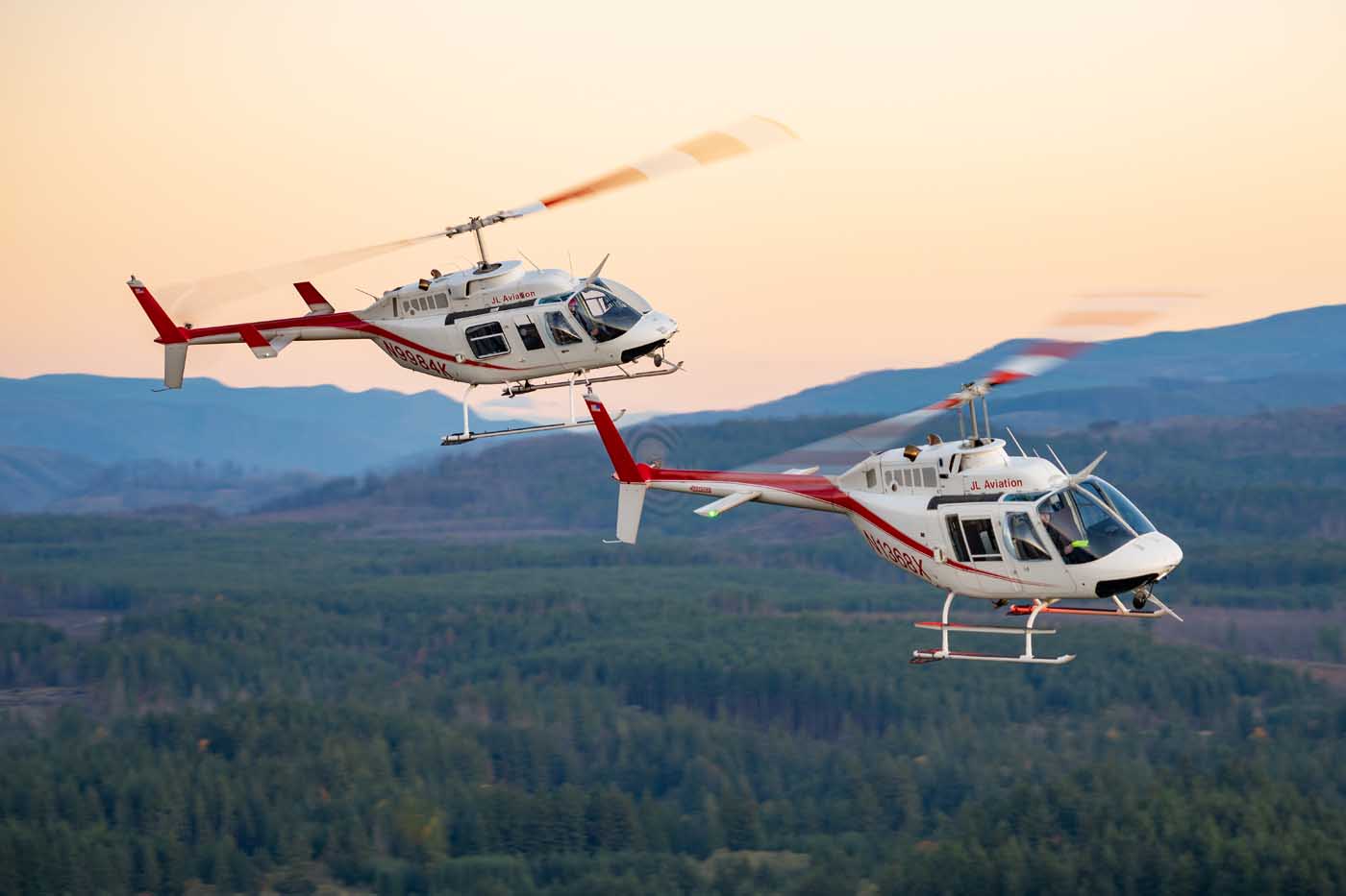 Harvesting Christmas trees by helicopter