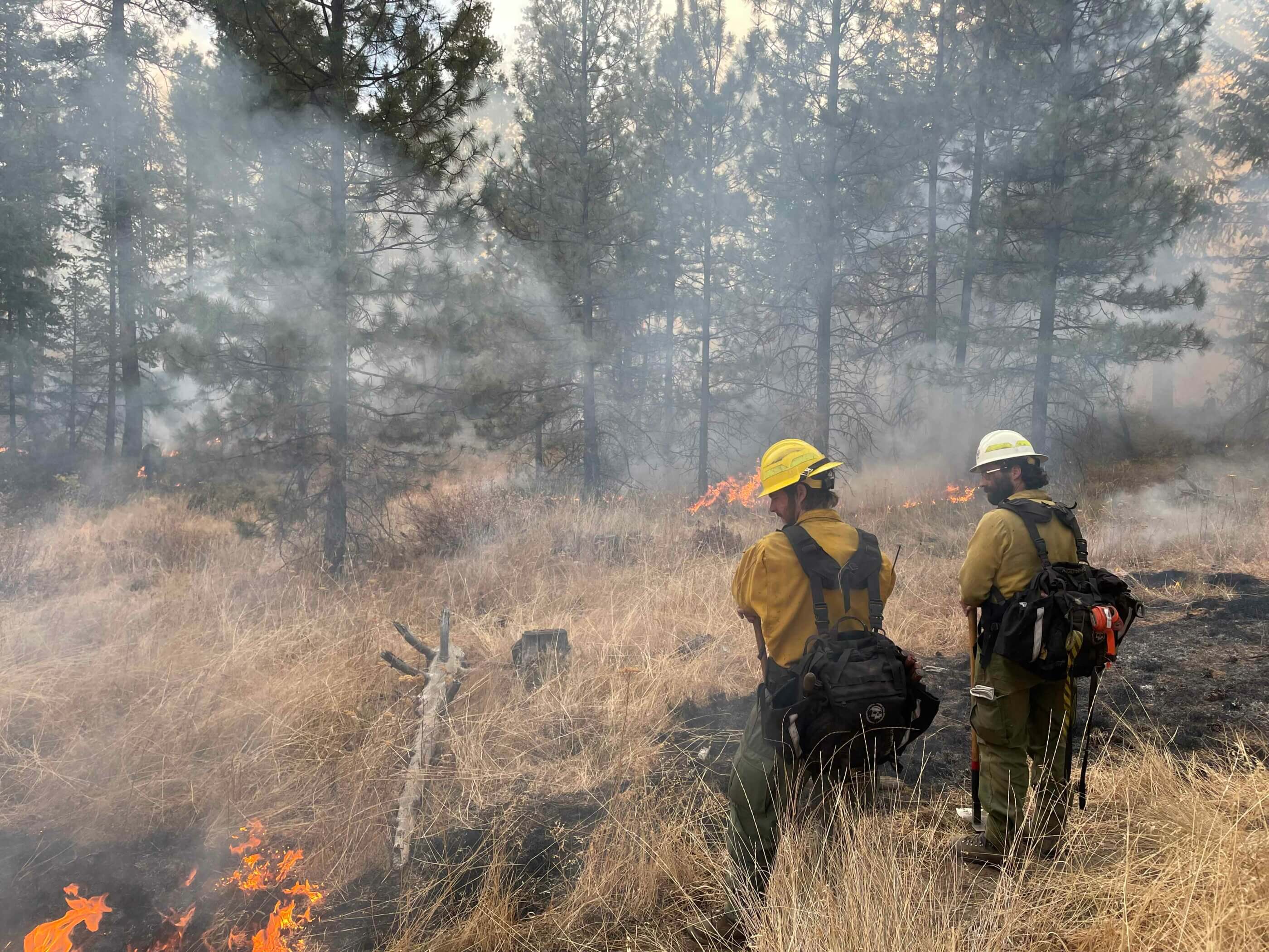 How to Help Fire-Ravaged California (and Oregon and Washington