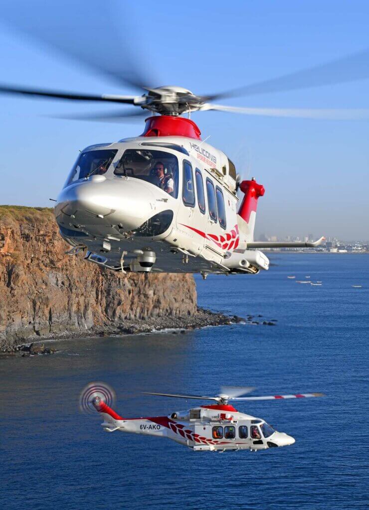 Heliconia: Who dares wins - Vertical Mag