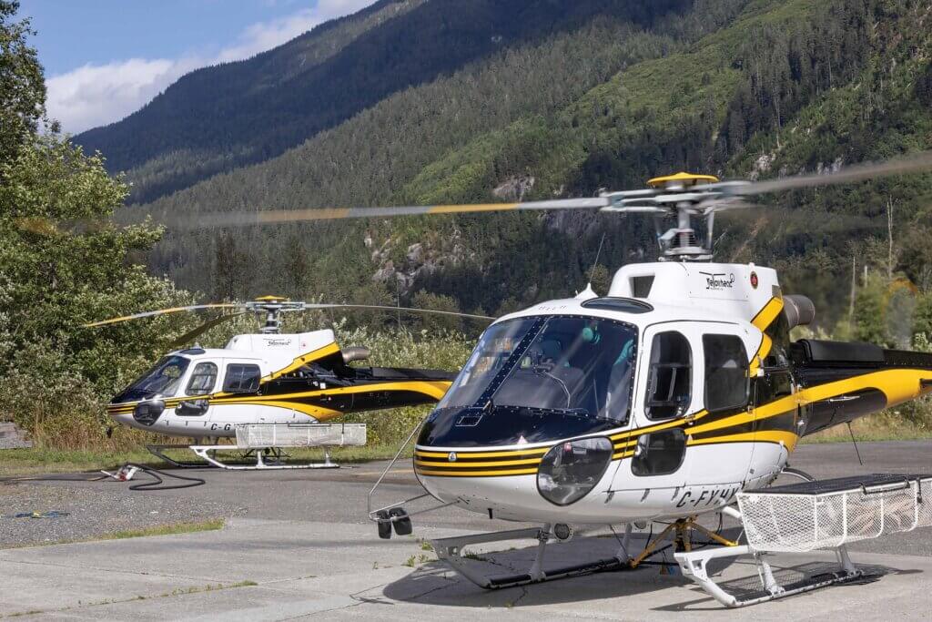 航空機・ヘリコプター NORTHEAST yellowbirds 航空機・ヘリコプター NORTHEAST yellowbirds Airline PAST#21