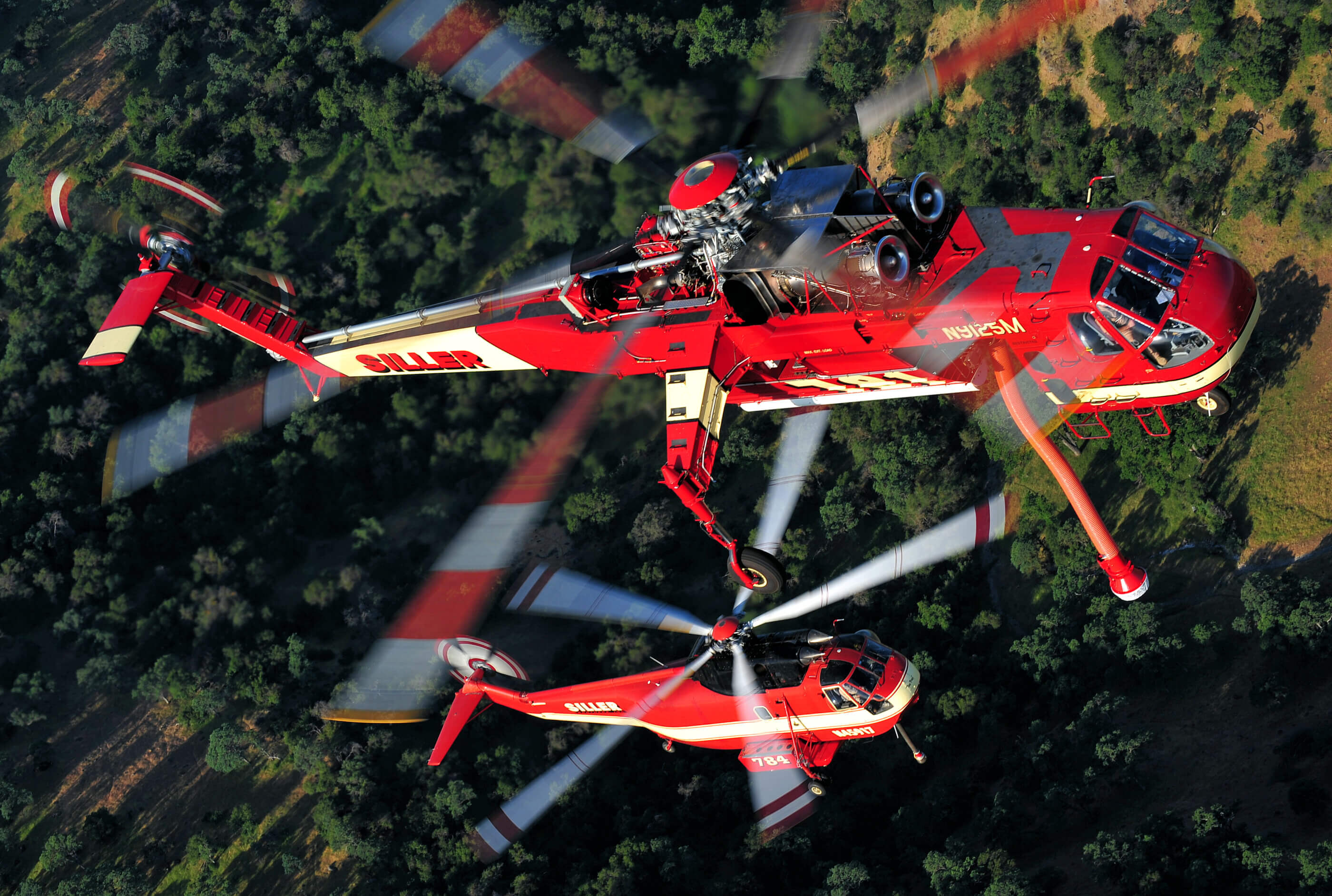 The purchase includes Skycranes and S-61 variants. Skip Robinson Photo