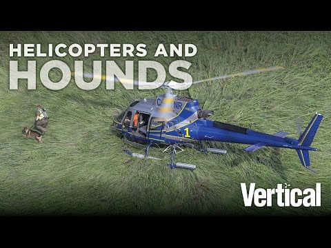 VIDEO: Helicopters and Hounds: Flying with Nova Scotia's Department of Natural Resources